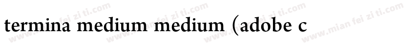 termina medium medium (adobe cloud字体转换
